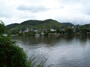 Moselle at Zeltingen